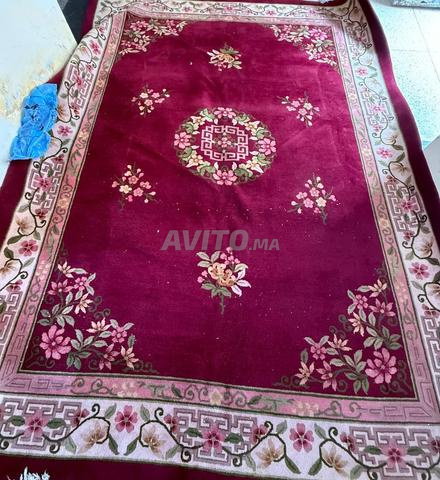 Zarbia 4m x 3m Fil Chinois - 1er choix - Tohfa 12m² - 2