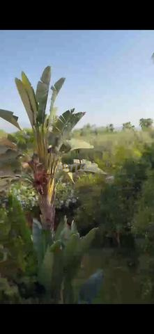 منزل للبيع في تريك أوريكا - 2