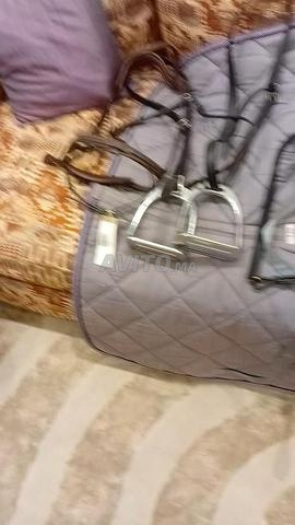 معدات الخيل - 2