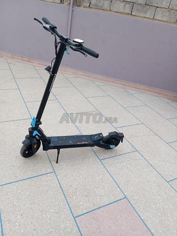 trottinette ecoxtrém G1 - 2