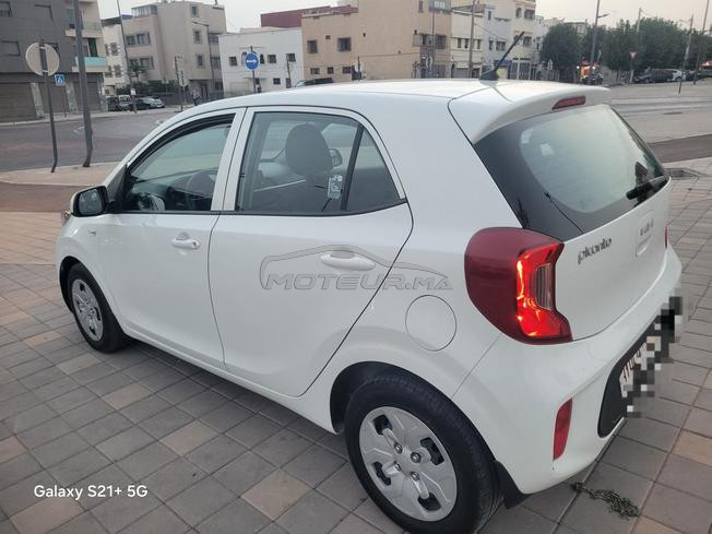 kia Picanto 