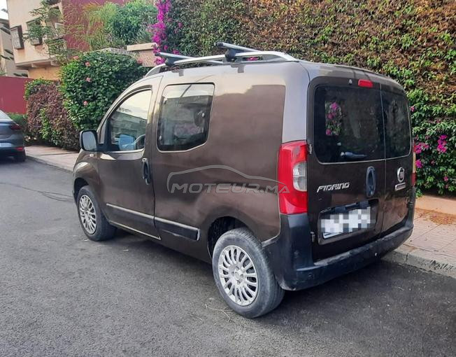 Fiorino 2017