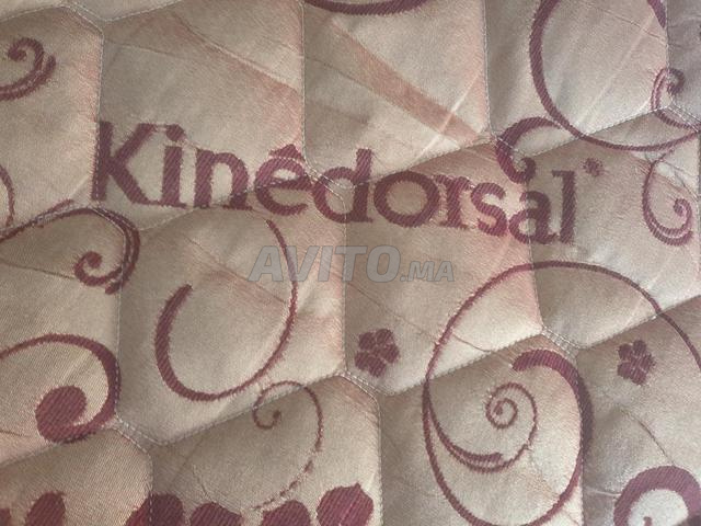 matlat kenidorsal - 2