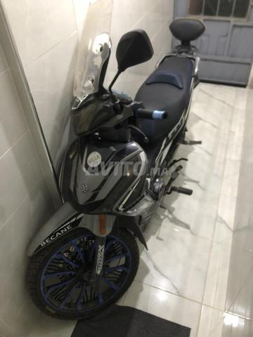 Becane 29