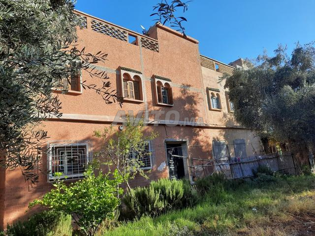 terrain et immeuble - 2