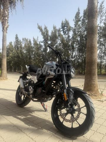 Cimatti mt05 - 2