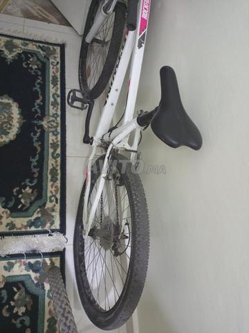 سلا تابريكت - 2