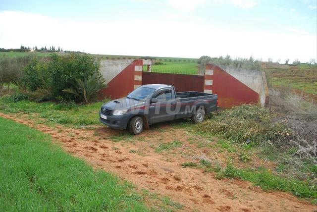 6 hectares - Aït Wahy - 2