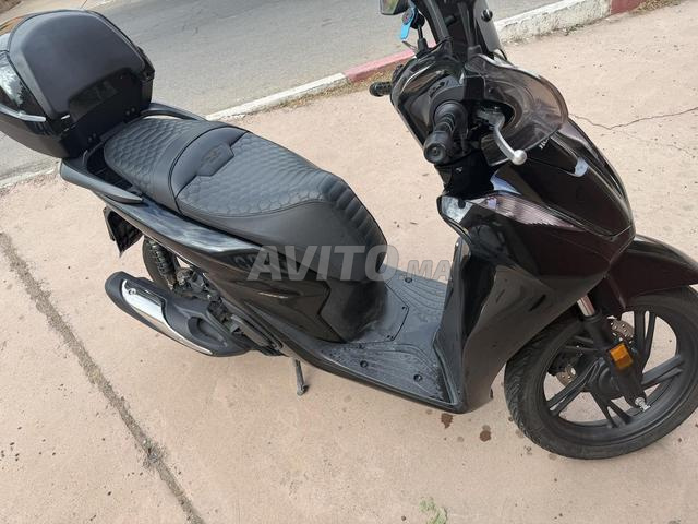 Honda SH 150 2025 - 2
