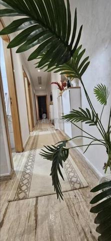 إيجار شقة - 2