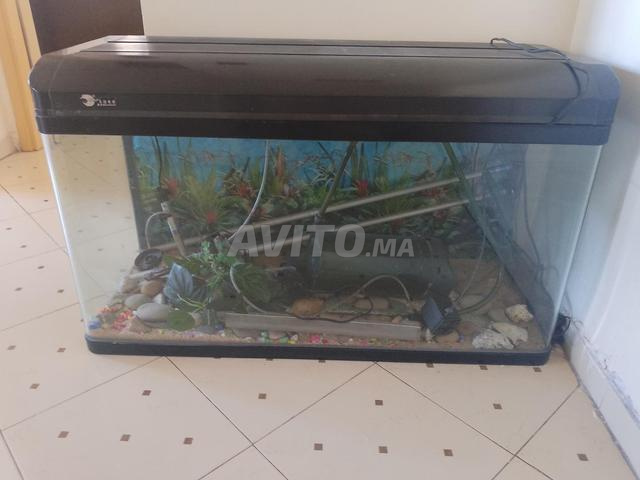 Aquarium à vendre - 2
