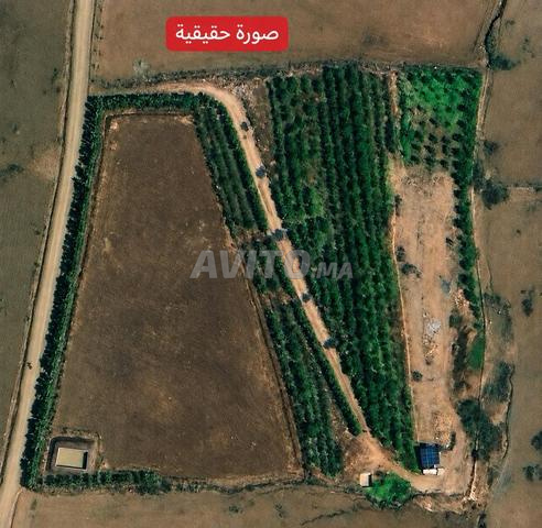 أرض 13 000 م² للبيع – أوريكة - 2