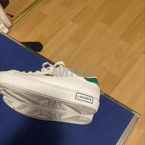 Lacoste  35,.5original - 2