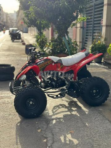 QUAD TROOPER 125R - 2