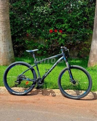 Bitwin Rockrider 520 XL - 2