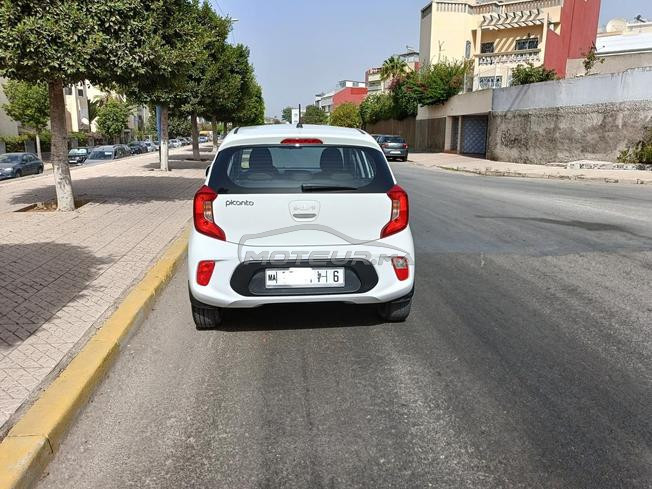 Picanto automatique 