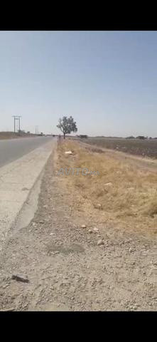 للبيع أرض زراعية مملوكة بسند ملكية 1 هكتار