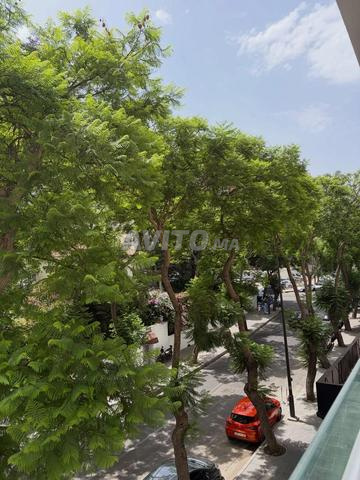 شقة للبيع بمساحة 201 م² في طنجة - 2