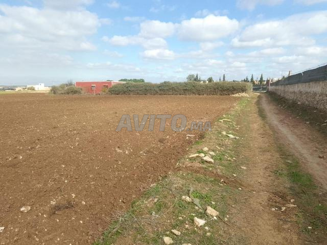 La commune d'Oulad Rahmoun à environ 14 kilomètres de la ville d'El Jadida