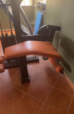 Machine à leg curl - 2