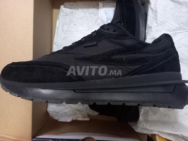 fila reno n°43 - 2