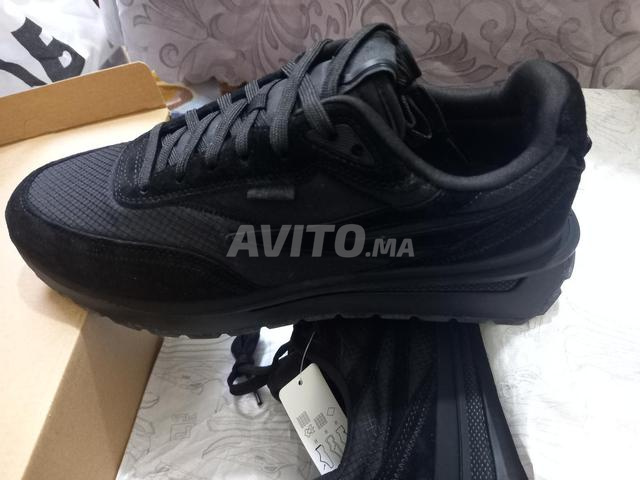 fila reno n°43 - 2