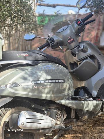 moto motard  - 2