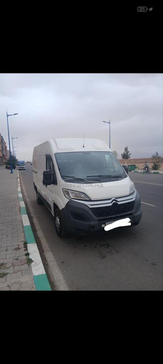 بيجو بوكسير مرحبا بالجميع روبريز مرحبا 