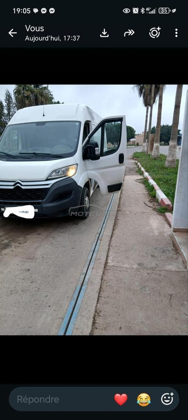 بيجو بوكسير مرحبا بالجميع روبريز مرحبا 
