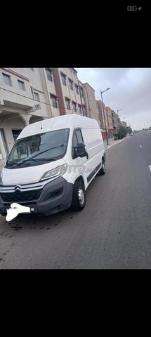 بيجو بوكسير مرحبا بالجميع روبريز مرحبا - 2