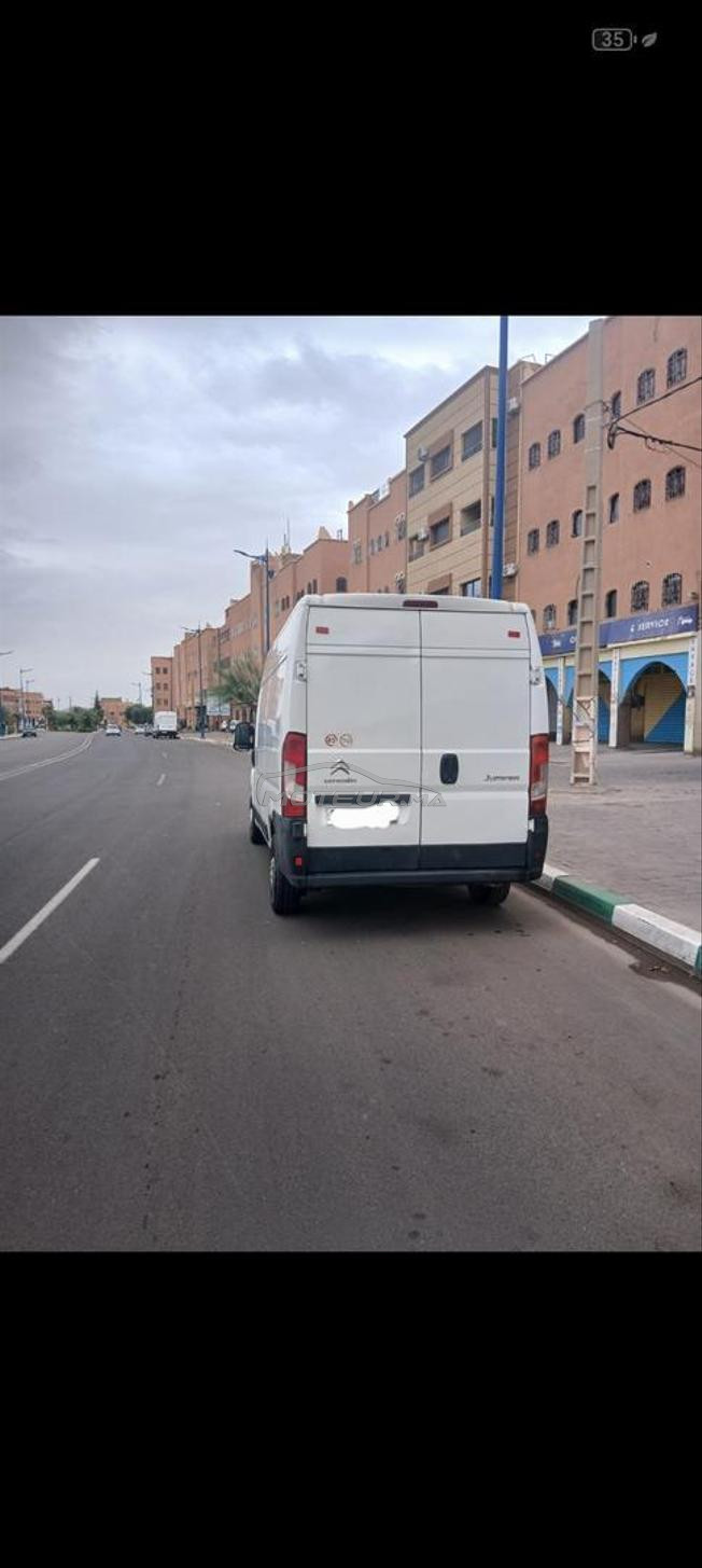 بيجو بوكسير مرحبا بالجميع روبريز مرحبا 