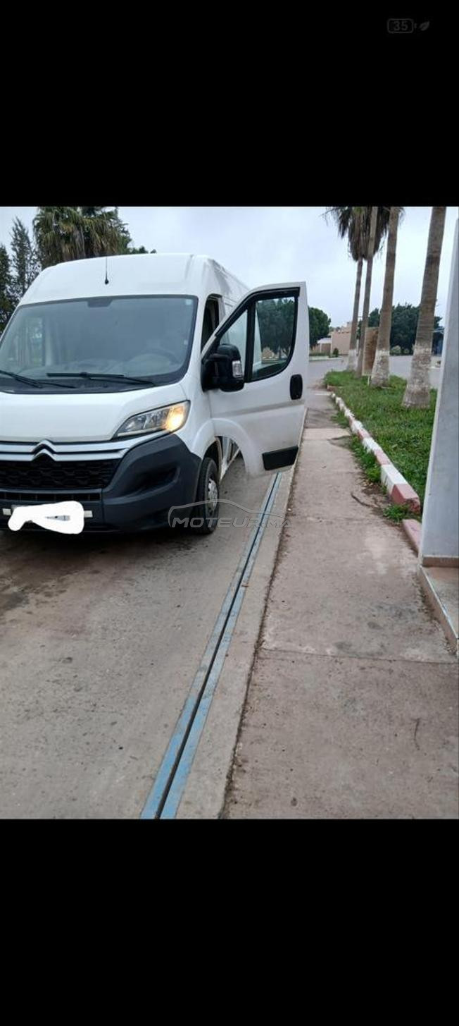 بيجو بوكسير مرحبا بالجميع روبريز مرحبا 