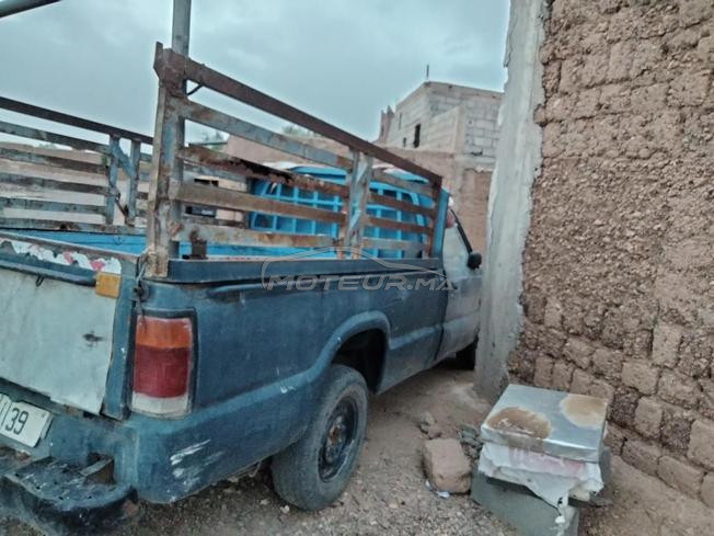 سكورة أهل الوسط