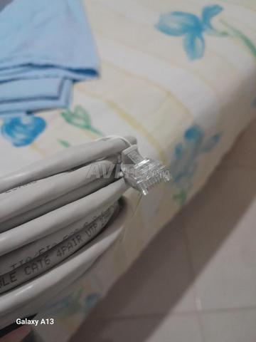 Câble Ethernet 10m - 2