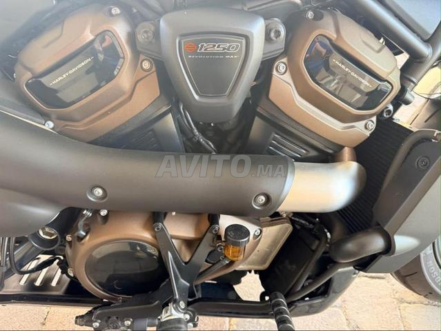 HARLEY-DAVIDSON SPORTSTER S 1250