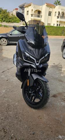 SYM HUSKY ADV 300 - 2