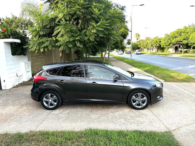 ford focus trad plus