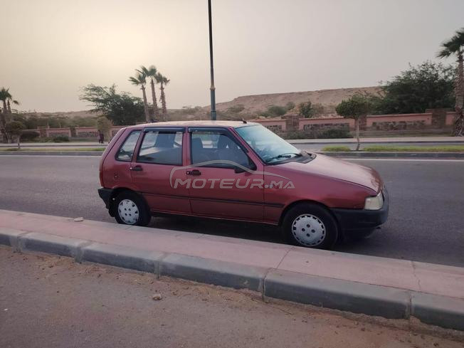 المدينة كلها
