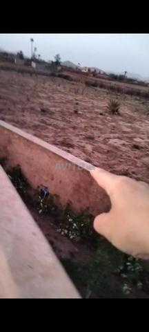أرض للبيع - 2
