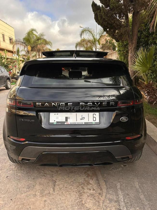 evoque tout options
