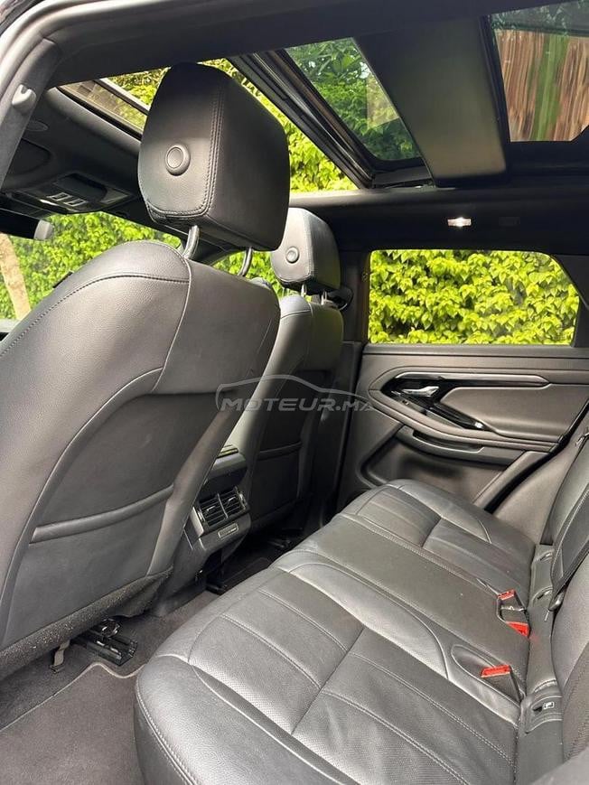 evoque tout options