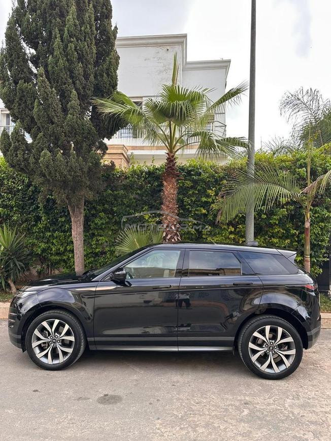 evoque tout options
