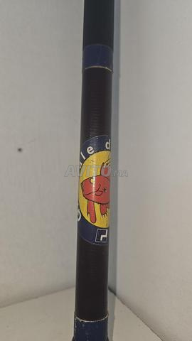 Canne à pêche télescopique Daiwa - 2