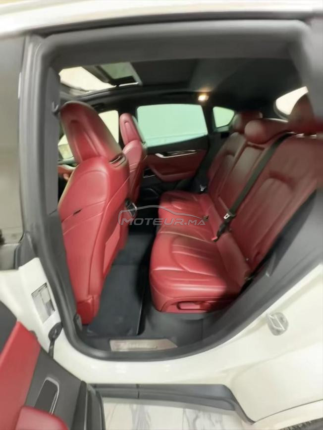 maseratti 