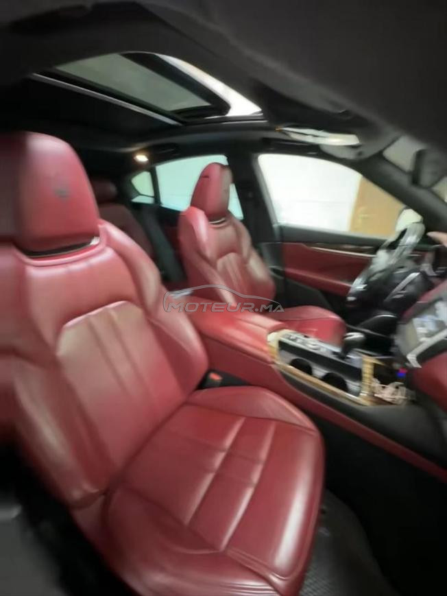 maseratti 