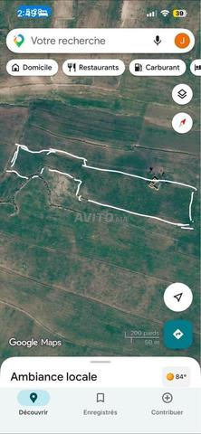 سطات جماعة مزامزه - 2