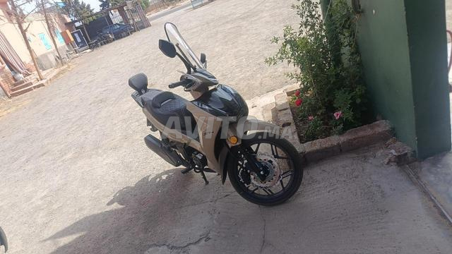 zohayrzakaria084@gmail.com - 2