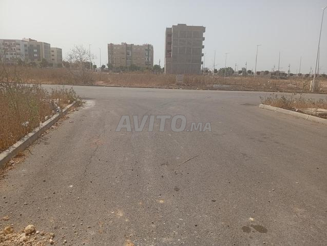 سند الملكية المسجّل - 2