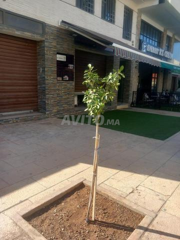 على بُعد مئة متر من الشاطئ - 2