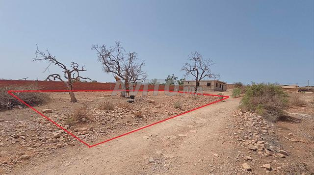 أرض بين Berkane وCap de l'eau Saidia - 2